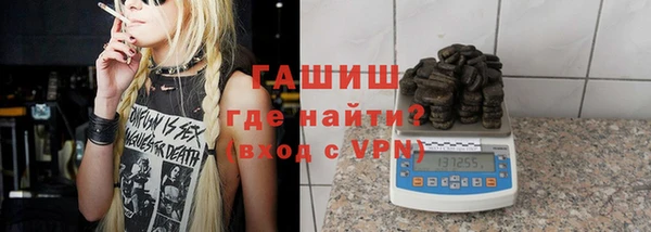 индика Кулебаки