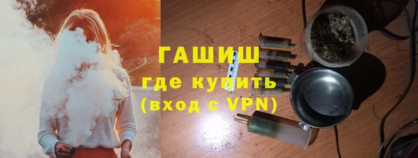 индика Кулебаки