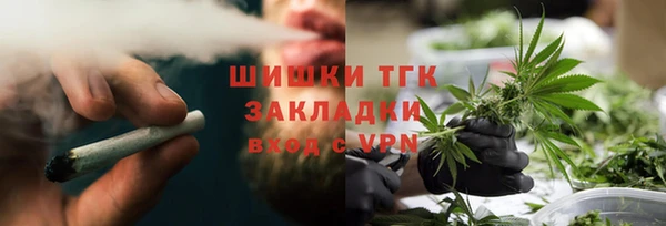 индика Кулебаки