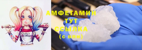индика Кулебаки