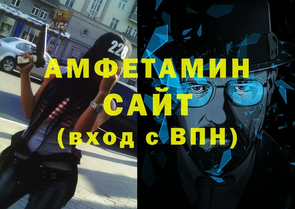 индика Кулебаки
