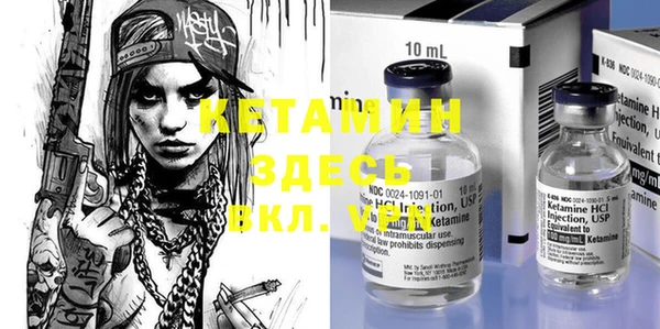 индика Кулебаки