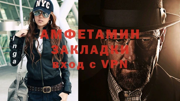индика Кулебаки
