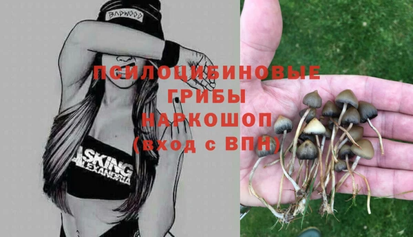 прущие крисы Куйбышев