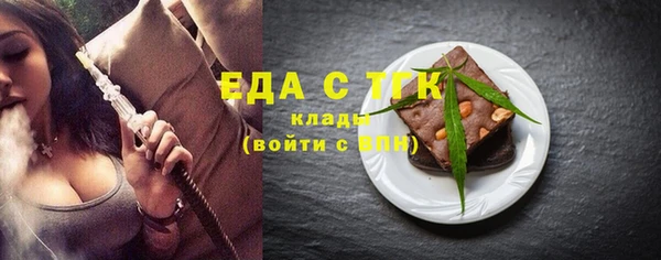 индика Кулебаки