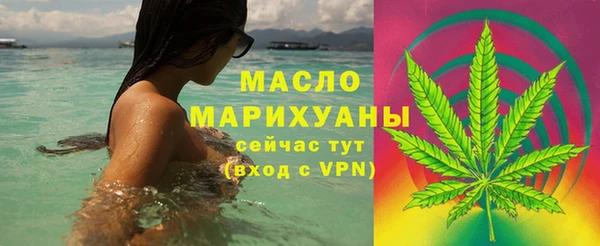 индика Кулебаки