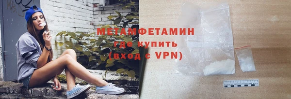 индика Кулебаки