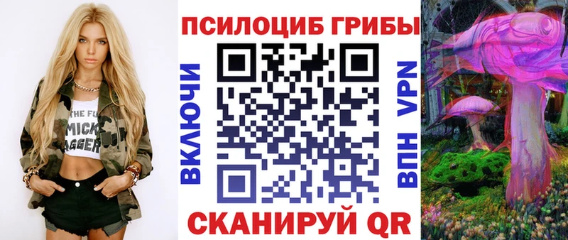 закладки  Новая Усмань  Галлюциногенные грибы MAGIC MUSHROOMS 
